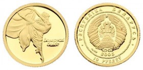 10 Rubels AV
Belarus, Balet, 1/25 OZ, Gold 999/1000, 2005
14 mm, 1,24 g