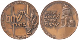 Medal
Bronze, Israel, Peace be within thy walls
60 mm, 135 g