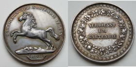 Medal Zn
Verdienstmedaille des Hannoverschen Gartenbau Vereins
41 mm, 24 g