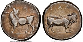 LUCANIA. Laus. Ca. 480-460 BC. AR stater (18mm, 7.84 gm, 2h). NGC VF 5/5 - 3/5. ΛAS, man-faced bull standing left, head reverted / ΛAS, man-faced bull...
