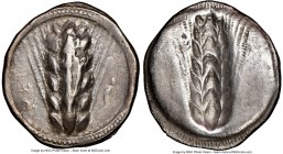 LUCANIA. Metapontum. Ca. 510-470 BC. AR stater (23mm, 12h). NGC VF, brushed, edge smoothing. MET, barley ear of seven grains; lizard to right / Incuse...
