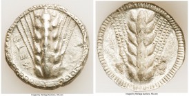 LUCANIA. Metapontum. Ca. 510-470 BC. AR stater (24mm, 6.52 gm, 12h). Choice VF. META, six-grained barley ear; guilloche border on raised rim / Incuse ...