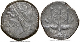 SICILY. Syracuse. Hieron II (ca. 275-215 BC). AE litra (19mm, 1h). NGC Choice XF. Head of Poseidon left, wearing taenia / ΙΕΡΩ-ΝΟΣ/AΠ, trident head, d...