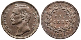 Token de 1 cent , Sarawak Rajah James Brooke ,Birmingham , 1884, CU 9,66 gr 29,2 mm 
Avers RAJAH BROOKE
Revers : ONE CENT
Ref : KM.19
SUP