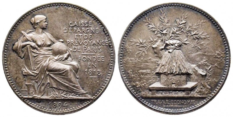 Jeton , Jeton Caisse d'Epargne et de Prévoyance Paris, 1894, AG 15,78 gr. 31,7 m...