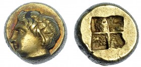 GRECIA ANTIGUA. JONIA. Focea. Hekte (377-326 a.C.). A/ Cabeza de Dionisos a izq. R/ Cuadrado incuso cuatripartito. El 2,54 g. 9,2 mm. COP-1026. SBG-No...