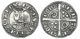 CORONA DE ARAGÓN. PEDRO EL CEREMONIOSO (1336-1387). Croat. Barcelona. CIVI en tres puntos. Flores de seis pétalos. AR 2,92 g. 23,8 mm. IV-402. MBC. Ra...