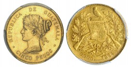 GUATEMALA. 5 pesos. 1894. Essai. KM-Pn 10. 10 ejemplares acuñados. PCGS SP 62. Rarísima.