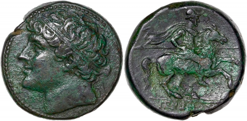 Sicily, Syracuse. Hieron II - Ae Dilitron - (275-215 BC)
A/ - 
R/ IEPΩNOΣ
Refere...