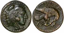 Kings of Macedon , Amyntas III - Ae - (394/3-370/69 BC)
A/ - 
R/ AMYNTAS
Reference: HGC.3.831
Very fine -
4,33g - 16.32mm - 12h.
