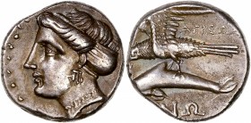 Paphlagonia - Ar Drachm - (330-300 BC)
A/
R/ AΓPEΩΣ / ΣΙΝΩ
Reference: HGC.7.399
Extremely fine -
7,16g - 17.26mm - 5h.