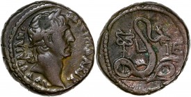 Egypt - Alexandria - Trajan - Bi Tetradrachm (98-117 AD)
A/ ΑΥΤ ΤΡΑΙΑΝ ϹƐΒ ΓƐΡΜ ΔΑΚΙΚ
R/ L ΙΕ
Reference: RPC 4586
Near very fine 
13,50g - 23.22mm - 1...