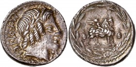 Mn. Fonteius C.f. (85BC) Ar Denarius - Rome 
A/ M FONTEI C F
R/ -
Reference: Cr 353/1d
Mint state - golden tone 
3,99g - 18.35mm - 11h.