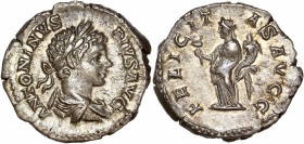 Caracalla (198-217) Ar Denarius
A/ ANTONINVS PIVS AVG
R/ FELICITAS AVGG
reference: RIC 127
Very fine 
 3.33g - 19.21mm - 6h.