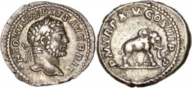 Caracalla (198-217) Ar Denarius
A/ ANTONINVS PIVS AVG BRIT
R/ P M TR P XV COS III P P
Reference: RIC 199
Very fine. Rare 
 3.51g - 19.9mm - 6h.
