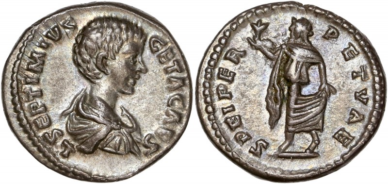 Geta (209-212) Ar Denarius - Laodicea 
A/ L SEPTIMIVS GETA CAES
R/ SPEI PERPETVA...