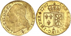 Louis XVI (1774-1792) - Av - Louis d'or à la tête nue 
1787 - A Paris 
A/ LUD XVI D G FR ET NAV REX 
R/ CHRS REGN VINC IMPER 1787
Référence : Gad.363
...