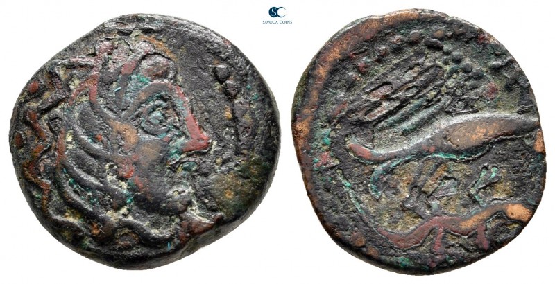 Celtic. Gaul. Carnutes circa 100-50 BC. 
Bronze Æ 

16 mm, 3,19 g



near...
