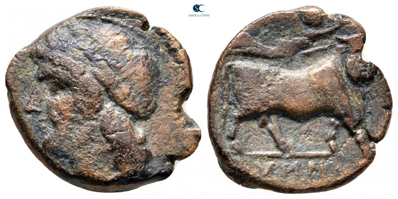 Campania. Teanum Sidicinum circa 265-240 BC. 
Obol Æ

18 mm, 4,55 g



ne...