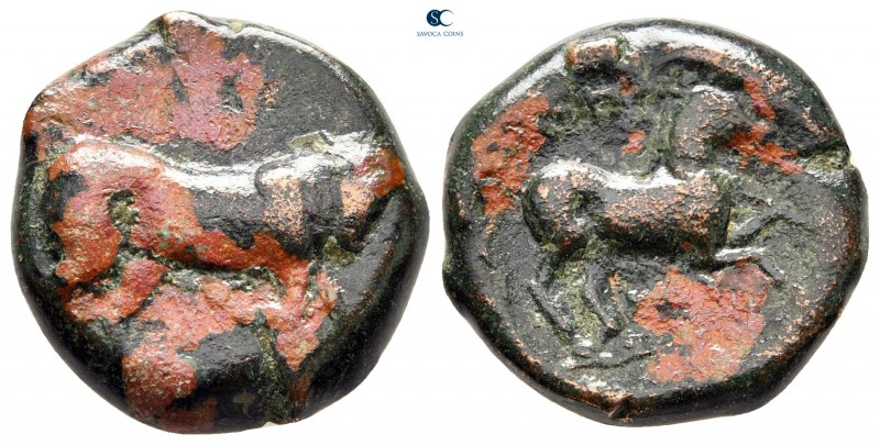 Apulia. Arpi circa 275-250 BC. 
Bronze Æ

18 mm, 7,85 g



fine