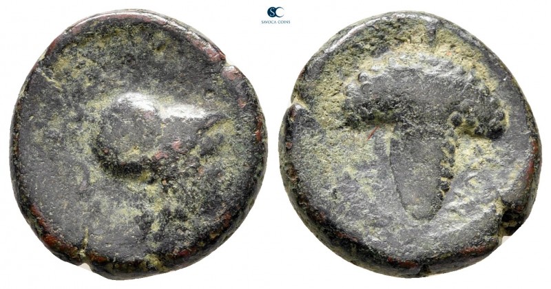 Apulia. Arpi circa 215-212 BC. 
Bronze Æ

14 mm, 3,01 g



fine