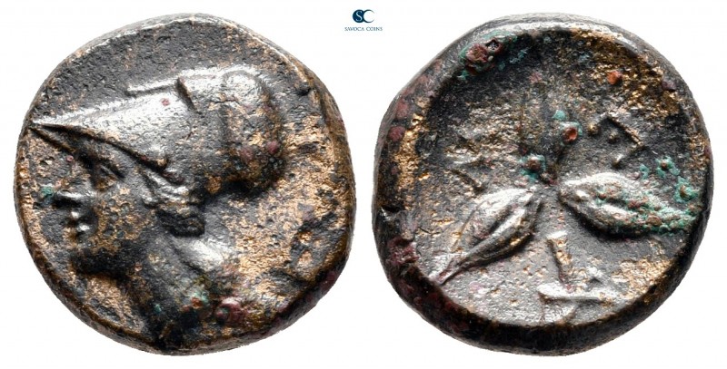 Lucania. Metapontion circa 300-250 BC. 
Bronze Æ

14 mm, 2,59 g



very f...