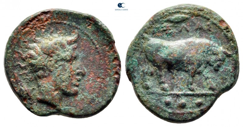 Sicily. Gela circa 420-405 BC. 
Tetras Æ

17 mm, 3,34 g



very fine