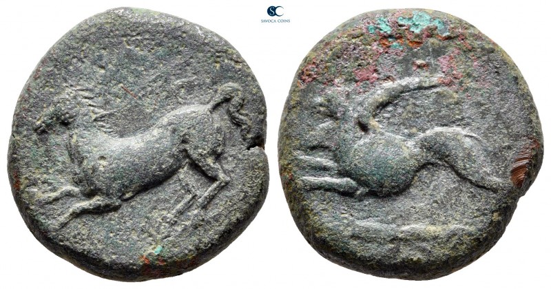 Sicily. Syracuse. Dionysios II 367-357 BC. Kainon" issue
Tetras Æ

20 mm, 7,6...