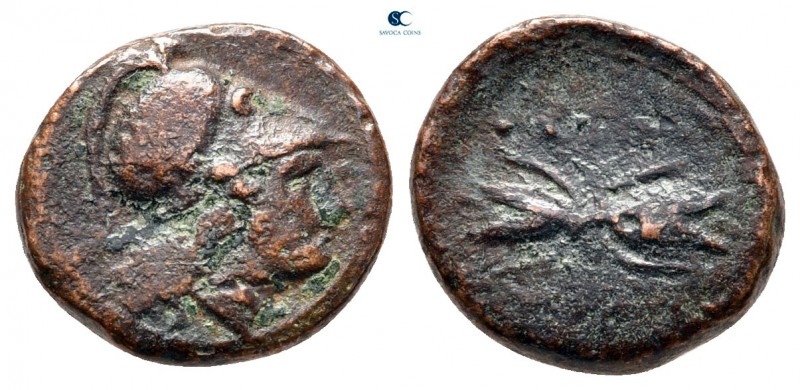 Sicily. Syracuse. Agathokles 317-289 BC. 
Bronze Æ

11 mm, 1,87 g



near...