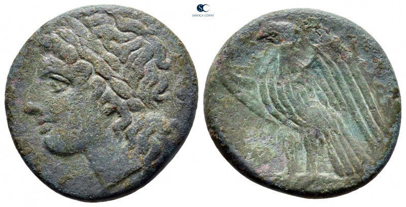 Sicily. Syracuse. Time of Hiketas 287-278 BC. 
Bronze Æ

23 mm, 6,79 g


...