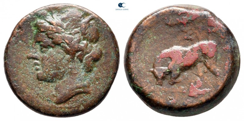 Sicily. Syracuse. Hieron II 275-215 BC. 
Bronze Æ

15 mm, 4,89 g



nearl...