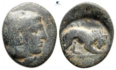 Kings of Macedon. Uncertain mint. Perdikkas III 365-359 BC. Bronze Æ