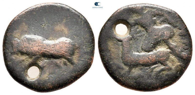 The Tauric Chersonese. Chersonesus circa 300-250 BC. 
Bronze Æ

17 mm, 3,73 g...