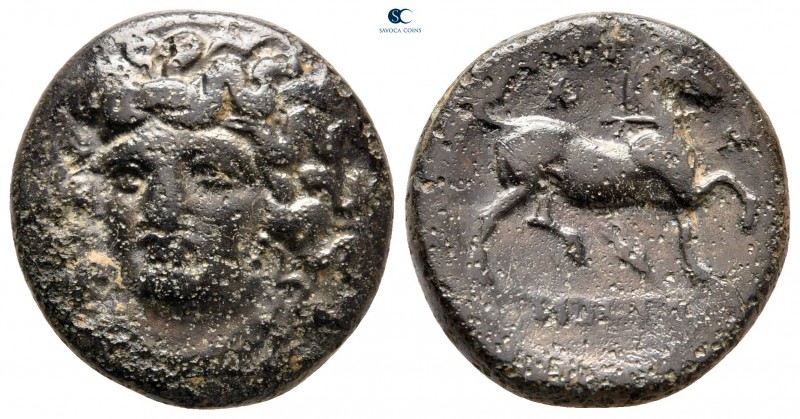 Thessaly. Larissa circa 356-337 BC. 
Tetrachalkon Æ

22 mm, 8,95 g



nea...