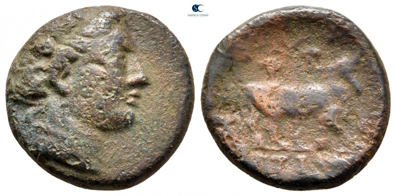 Euboea. Histiaia circa 338-308 BC. 
Bronze Æ

18 mm, 5,22 g



fine