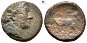 Euboea. Histiaia circa 338-308 BC. Bronze Æ