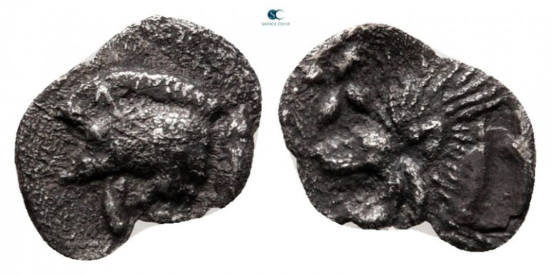 Mysia. Kyzikos circa 525-475 BC. 
Hemiobol AR

9 mm, 0,24 g



nearly ver...