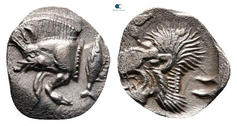 Mysia. Kyzikos circa 525-475 BC. 
Hemiobol AR

9 mm, 0,38 g



very fine