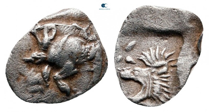 Mysia. Kyzikos circa 525-475 BC. 
Hemiobol AR

10 mm, 0,26 g



very fine