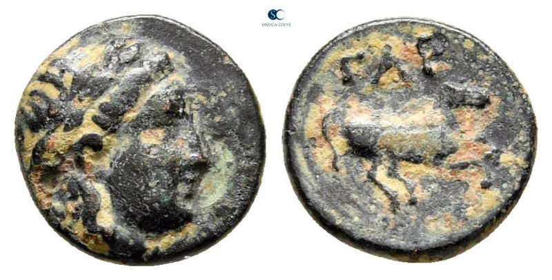 Troas. Gargara circa 400-300 BC. 
Bronze Æ

9 mm, 0,59 g



very fine