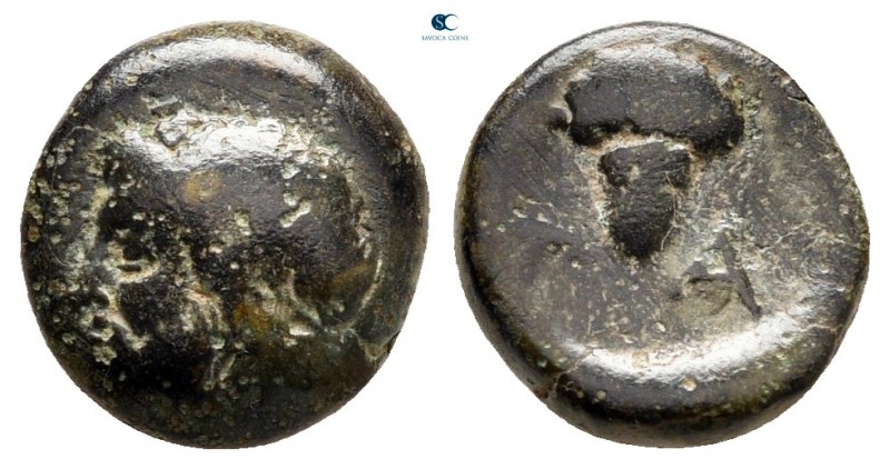 Aiolis. Temnos circa 350-320 BC. 
Bronze Æ

9 mm, 1,43 g



nearly very f...