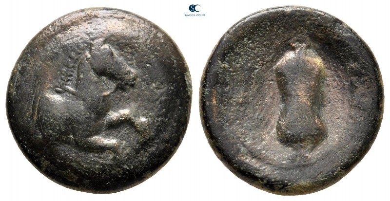 Pamphylia. Aspendos circa 300-200 BC. 
Bronze Æ

17 mm, 4,61 g



very fi...