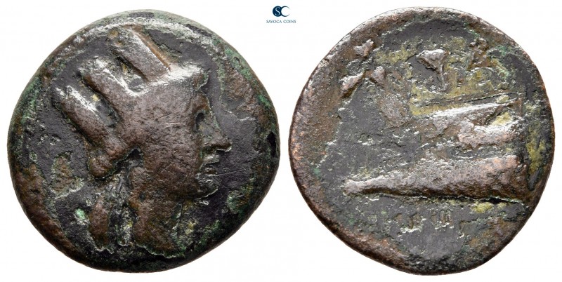 Phoenicia. Arados circa 200-0 BC. 
Bronze Æ

19 mm, 5,02 g



fine