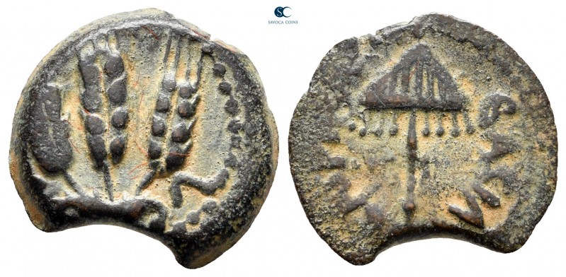 Judaea. Jerusalem. Herodians. Agrippa I CE 37-43. Dated RY 6 = 41/2 CE. From the...