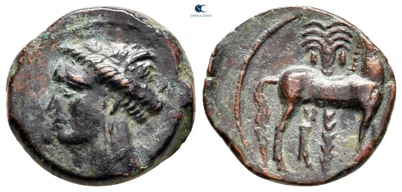 Zeugitana. Carthage circa 400-350 BC. 
Bronze Æ

15 mm, 3,52 g



very fi...