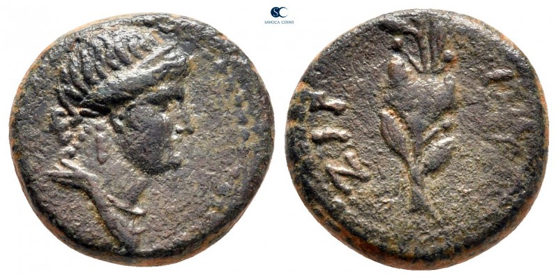 Seleucis and Pieria. Antioch. Pseudo-autonomous issue AD 68-69. 
Bronze Æ

13...