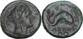Greek Italy. Eastern Italy, Larinum. AE Biunx, c. 210-175 BC. Obv. Veiled and wreathed female head right. Rev. Dolphin right; below, LADINOD / two pel...