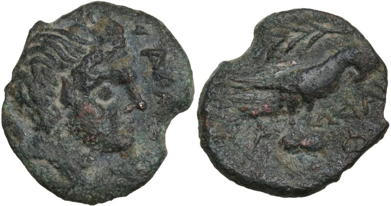 Greek Italy. Northern Apulia, Salapia. AE 14.5 mm. Circa 225-210 BC. Obv. ΣΑΛΑΠΙ...