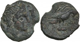 Greek Italy. Northern Apulia, Salapia. AE 14.5 mm. Circa 225-210 BC. Obv. ΣΑΛΑΠΙΝΩΝ. Head of young Pan right, pedum at shoulder. Rev. Hawk right, wing...