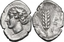 Greek Italy. Southern Lucania, Metapontum. AR Nomos, c. 430-400 BC. Obv. Head of Demeter left, wearing fillet. Rev. Six-grained barley ear with leaf t...